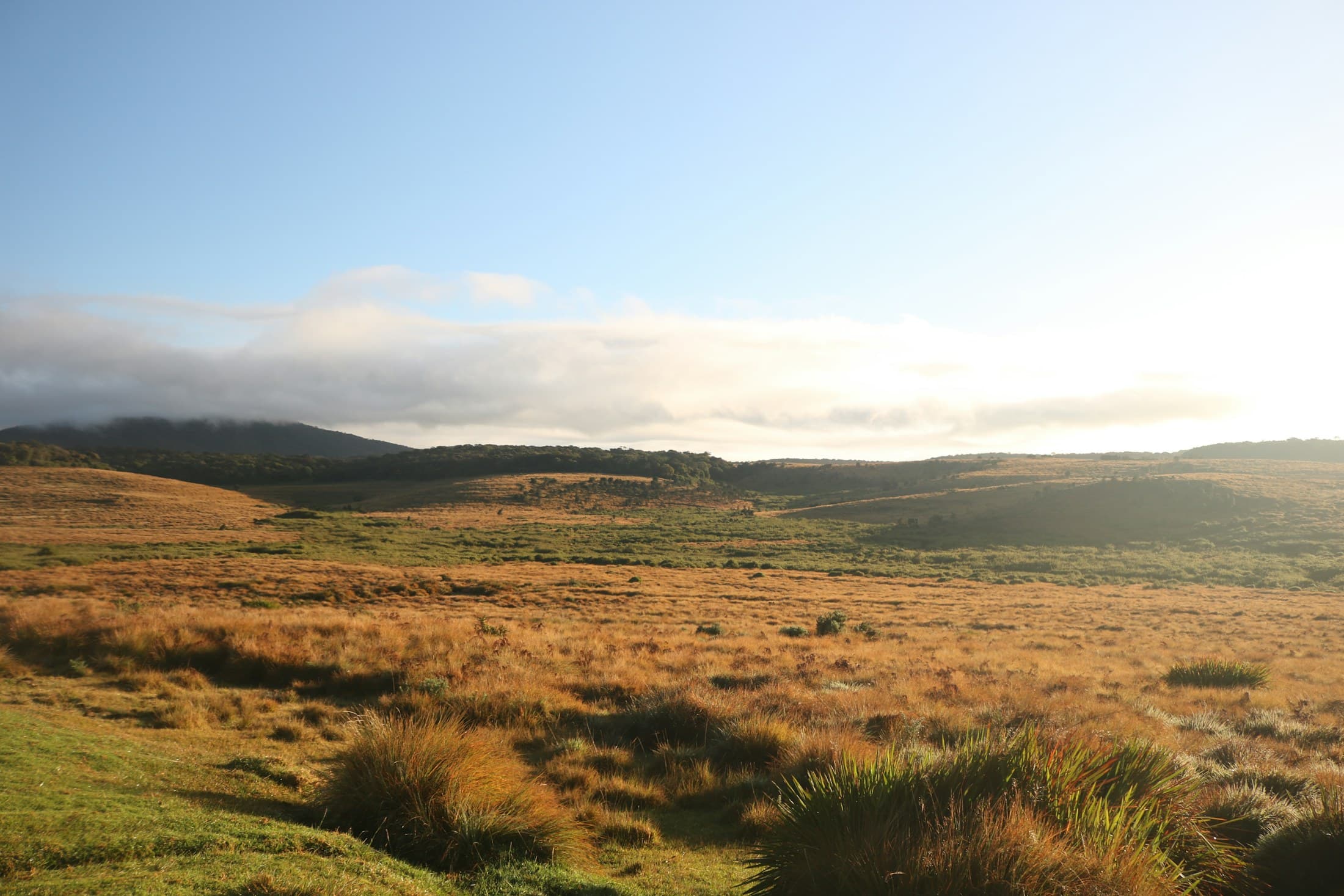 Open grassland and cloud-covered hills at Horton Plains
