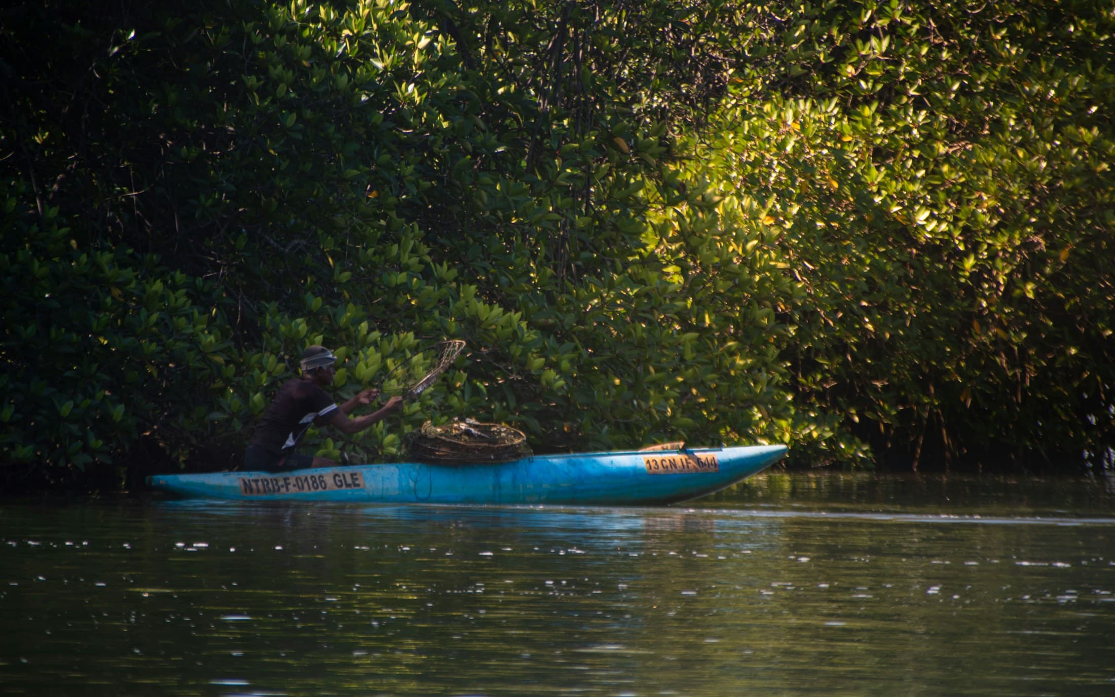 A fisherman in a small boat on the Madu Ganga